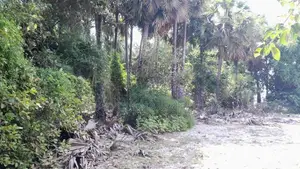 HHL1061 - Land for sale in Kurukkalmadam
