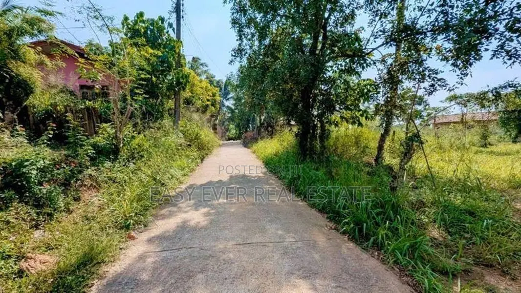 කටුනායක ප්‍රධාන මාර්ගයටත් ලගින් වටිනා ඉඩමක්