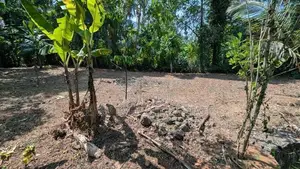 Land for Sale in Kirindiwela