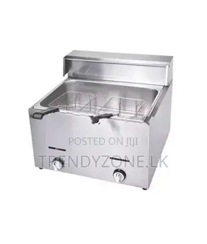 Industrial Gas Fryer 25 L