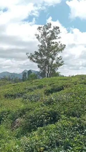 View Point Land for Sale Nuwara Eliya Road