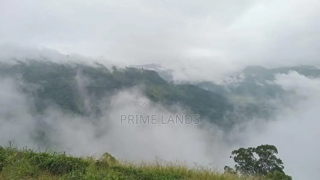 Land for sale Nuwara Eliya Road