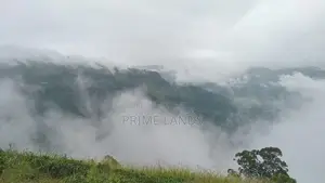 Land for sale Nuwara Eliya Road