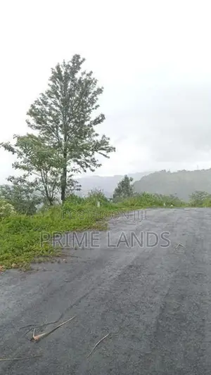 View Point Land for Sale Nuwara Eliya Road