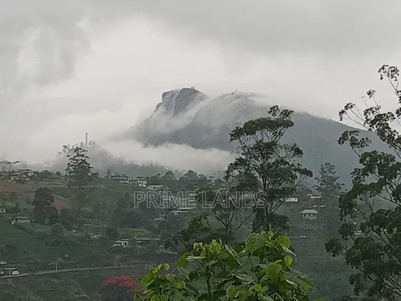 View Point Land for Sale Nuwara Eliya Road