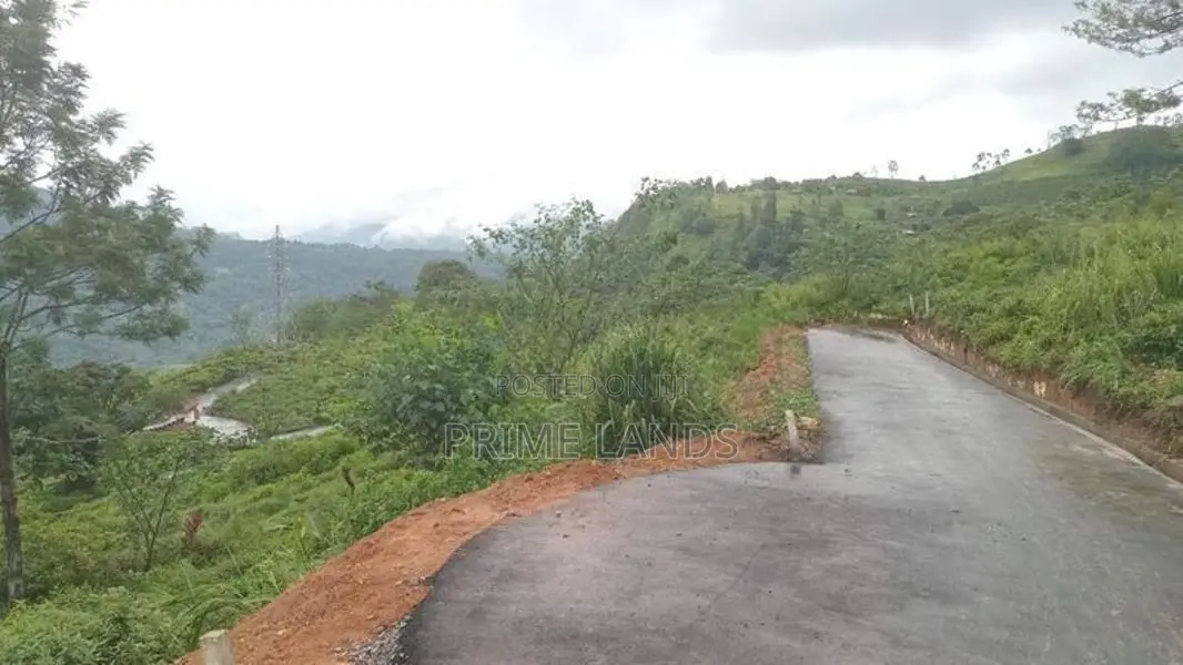 Land for Sale Nuwara Eliya Road