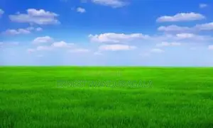 LAND FOR SALE IN PANNIPITIYA. LS-627