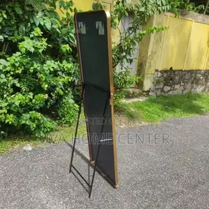 Wall Hanging Stand Mirror 61x19Inch
