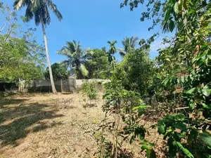 මීරිගම නගරයේ වටිනා ඉඩමක් විකිණීමට