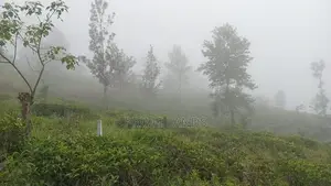 View Point Land for Sale Nuwara Eliya Road