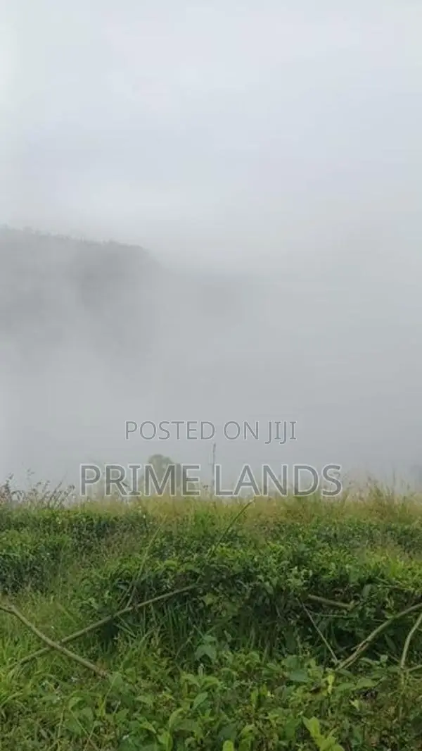 Land for Sale Nuwara Eliya Road