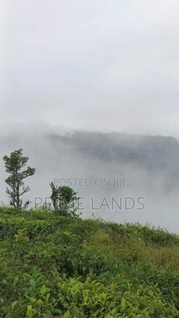 View Point Land for Sale Nuwara Eliya Road