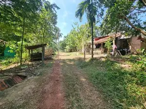 මීරිගම නගරයේ වටිනා ඉඩමක් විකිණීමට