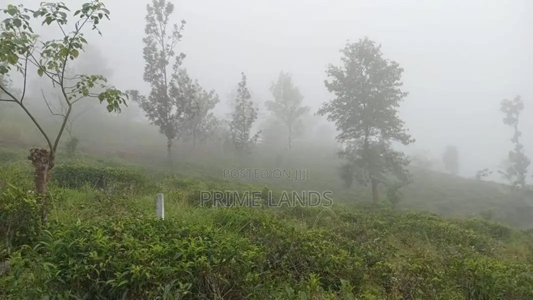 View Point Land for Sale Nuwara Eliya Road