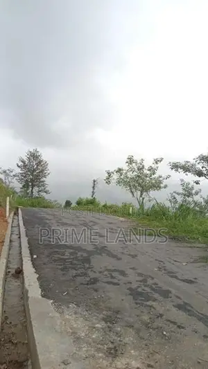 Land for Sale Nuwara Eliya Road