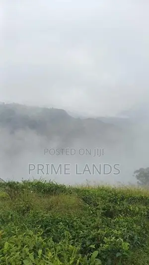 Land for Sale Nuwara Eliya Road