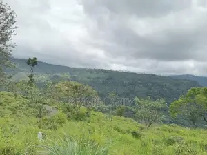 View Point Land for Sale Nuwara Eliya Road