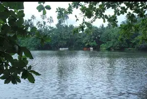 ☆ Kalutara Water Frount Land For Sale ( Ref No : RL - 597 )