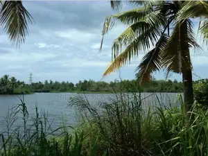 Panadura Hirana Bolgoda River Facing Land For Sale ( RL - 599)