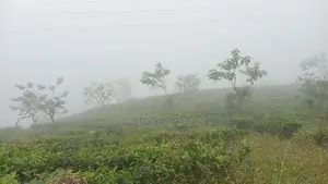 View Point Land for Sale Nuwara Eliya Road