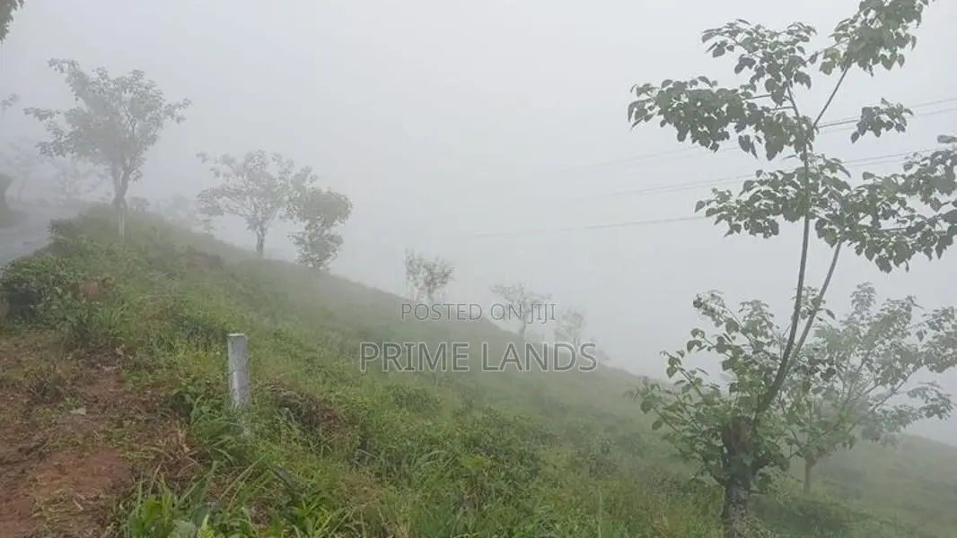 Land for Sale Nuwara Eliya Road