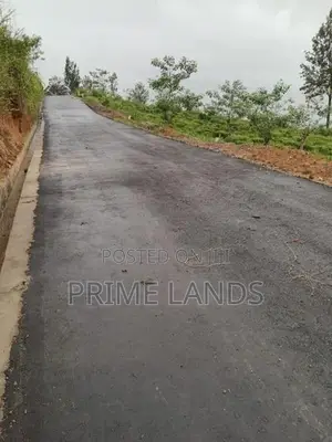 View Point Land for Sale Nuwara Eliya Road