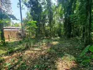 මීරිගම නගරයේ වටිනා ඉඩමක් විකිණීමට