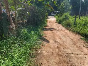 නිට්ටඹුව කිරිඳිවැල 182 බස් මාර්ගයට මායිම් ව්‍යාපාරික ඉඩමක්