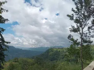 Land for sale Nuwara Eliya Road