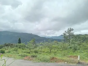 Land for Sale Nuwara Eliya Road