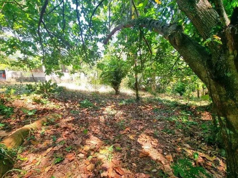 මීරිගම නගරයේ වටිනා ඉඩමක් විකිණීමට