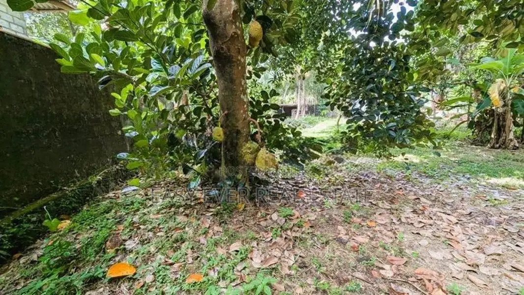 නිට්ටඹුව – වතුපිටිවල වටිනා ඉඩමක් විකිණීමට