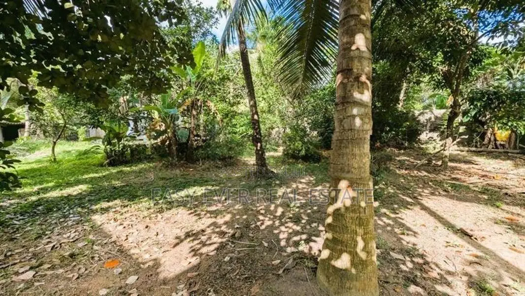 නිට්ටඹුව – වතුපිටිවල වටිනා ඉඩමක් විකිණීමට