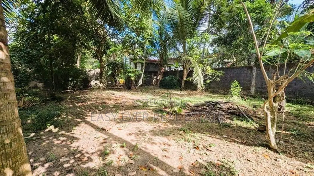 නිට්ටඹුව – වතුපිටිවල වටිනා ඉඩමක් විකිණීමට