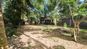 නිට්ටඹුව – වතුපිටිවල වටිනා ඉඩමක් විකිණීමට