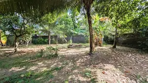 නිට්ටඹුව – වතුපිටිවල වටිනා ඉඩමක් විකිණීමට