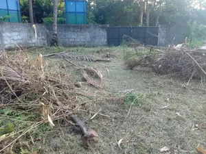 13 Perches Land for Sale in Dehiwala Nedimala