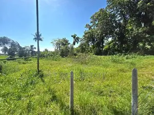 53.50P Paddy Field Facing Bare Land For Sale In Malabe