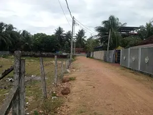 HHL1083 - Land for Sale in Karuvappankerny