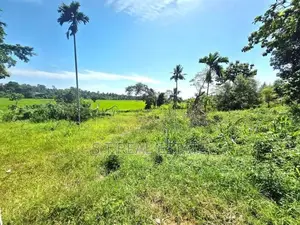 53.50P Paddy Field Facing Bare Land For Sale In Malabe