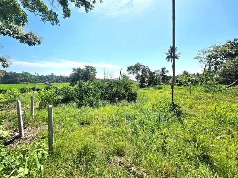 53.50P Paddy Field Facing Bare Land For Sale In Malabe