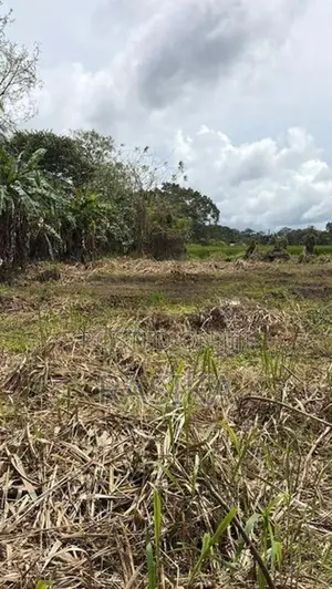 Land for Sale in Minneriya