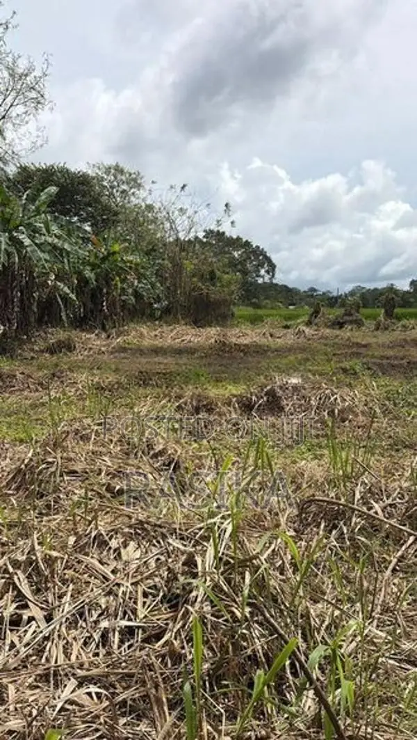 Land for Sale in Minneriya