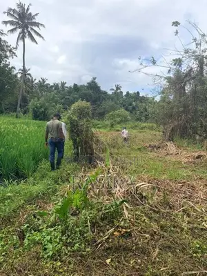 Land for Sale in Minneriya