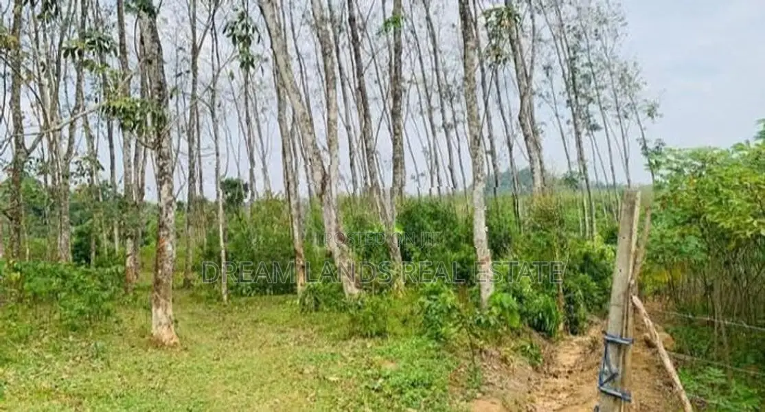 LAND FOR SALE IN PUGODA (SP1073)