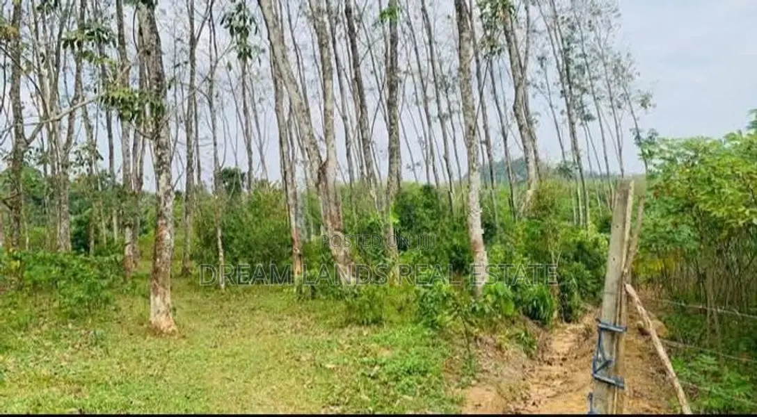 LAND FOR SALE IN PUGODA (SP1073)