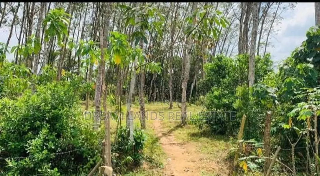 LAND FOR SALE IN PUGODA (SP1073)