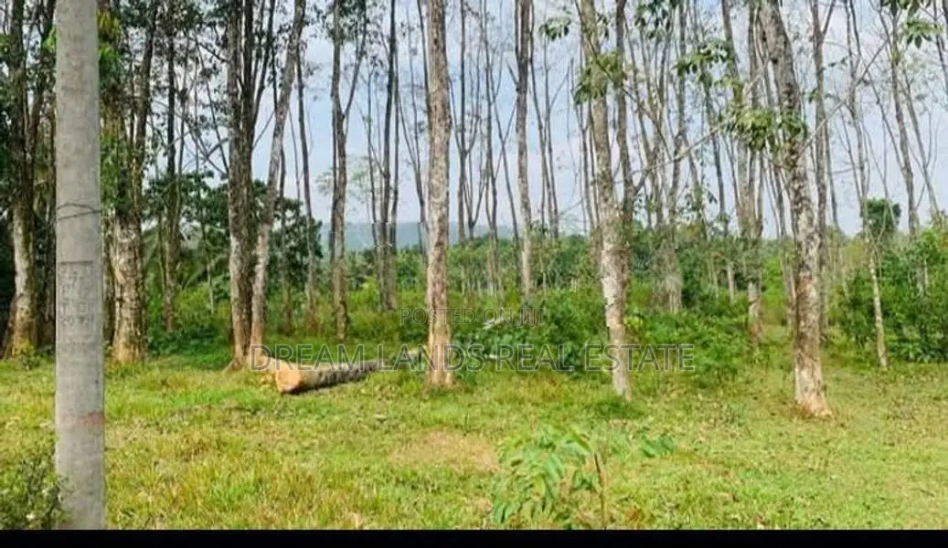 LAND FOR SALE IN PUGODA (SP1073)