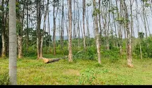 LAND FOR SALE IN PUGODA (SP1073)