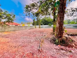 Valuable Near Bus Road 33 Perches Land For Sale In Daluwakotuwa Negomb